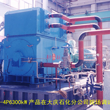大慶石化（2006年 ，YAKS710-4P，1臺(tái)）(圖1)